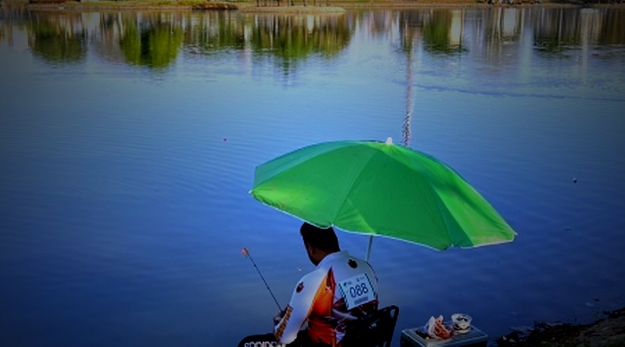 Festival de Pesca da Lagoa Grande terá sua segunda edição no dia 27 de setembro 16 Set 2026 Agricultura,... 328 visualizações CONTINUAR LENDO