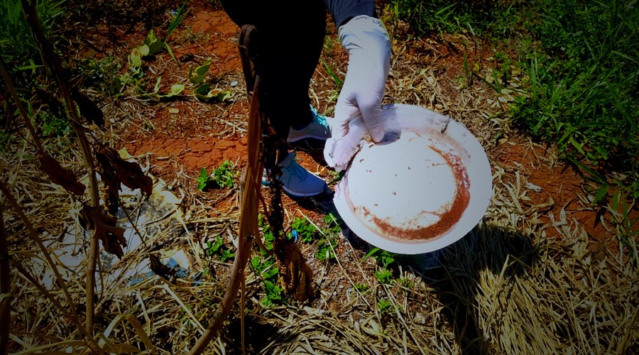 LIRAa aponta baixo risco para infestação por Aedes aegypti, mas equipes continuam trabalho de prevenção e combate 10 Set 2026 Saúde 65 visualizações CONTINUAR LENDO