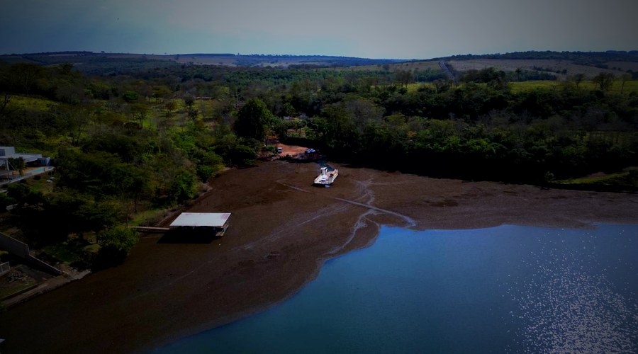 VÍDEO: Planta aquática forma ‘tapete marrom’ no Rio Araguari e mobiliza força-tarefa em MG